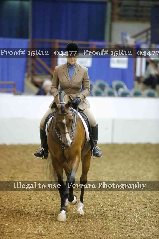 Proof 15R12_04477