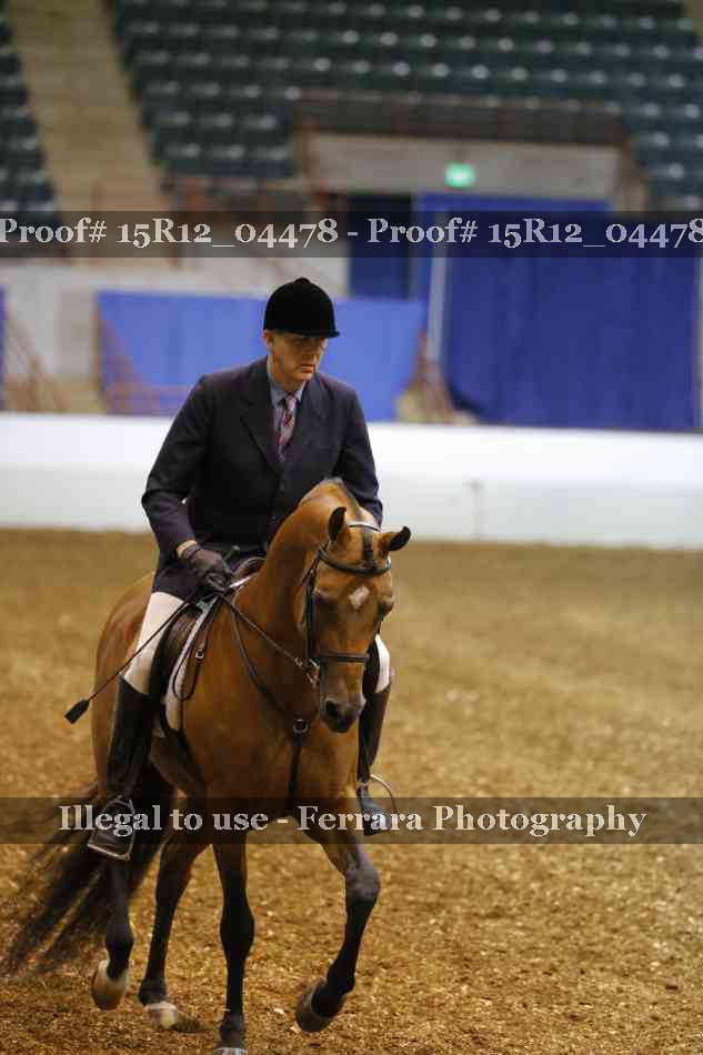 Proof 15R12_04478
