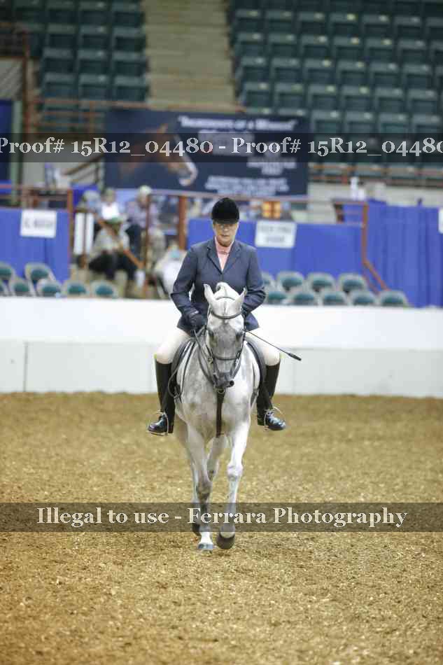 Proof 15R12_04480