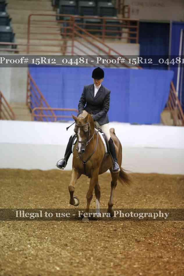 Proof 15R12_04481