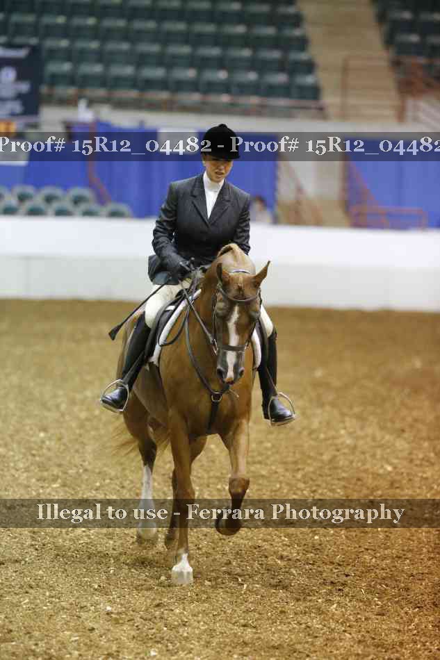 Proof 15R12_04482