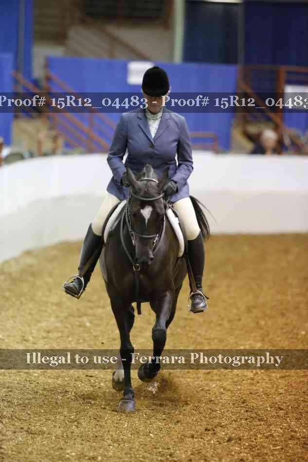 Proof 15R12_04483