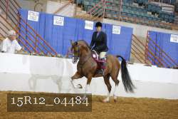 15R12_04484 proof