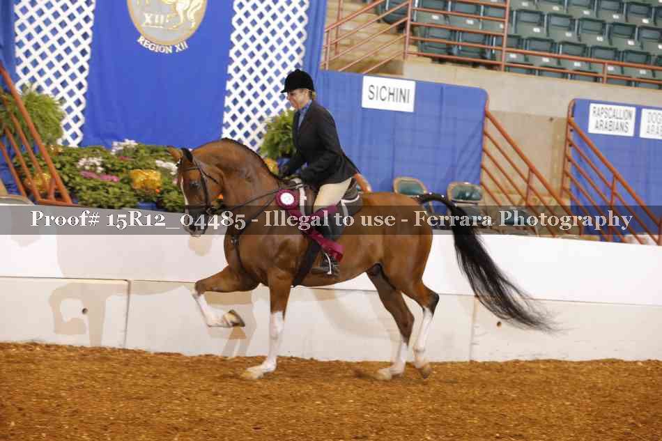Proof 15R12_04485