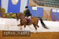 15R12_04485 proof