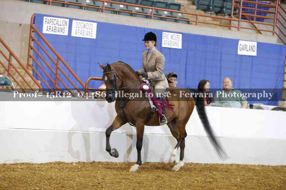 Proof 15R12_04486