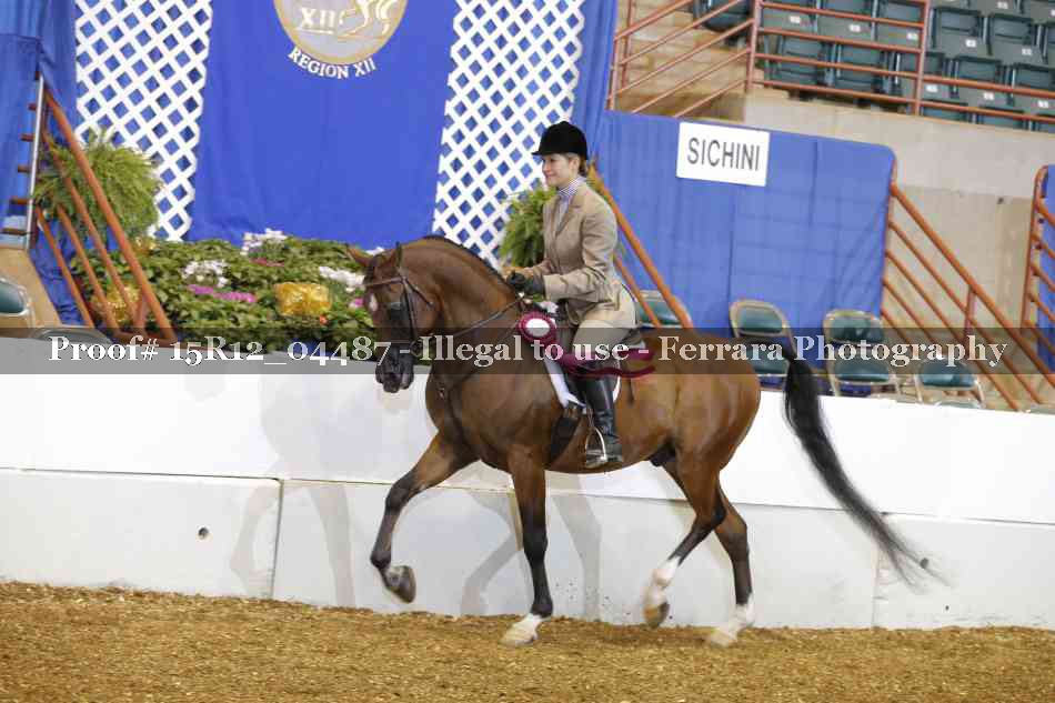 Proof 15R12_04487