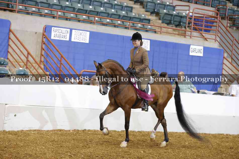 Proof 15R12_04488