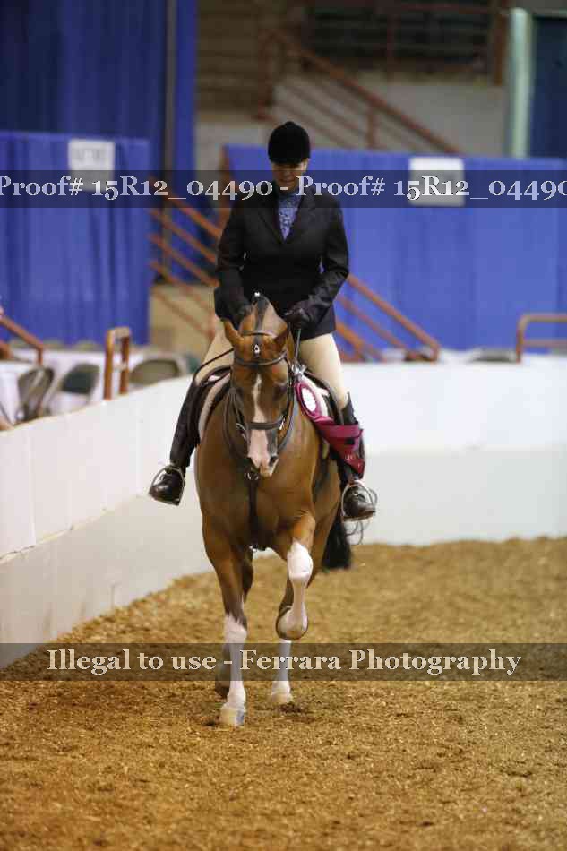 Proof 15R12_04490