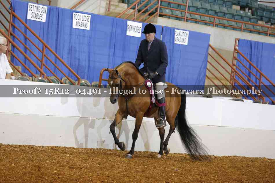 Proof 15R12_04491