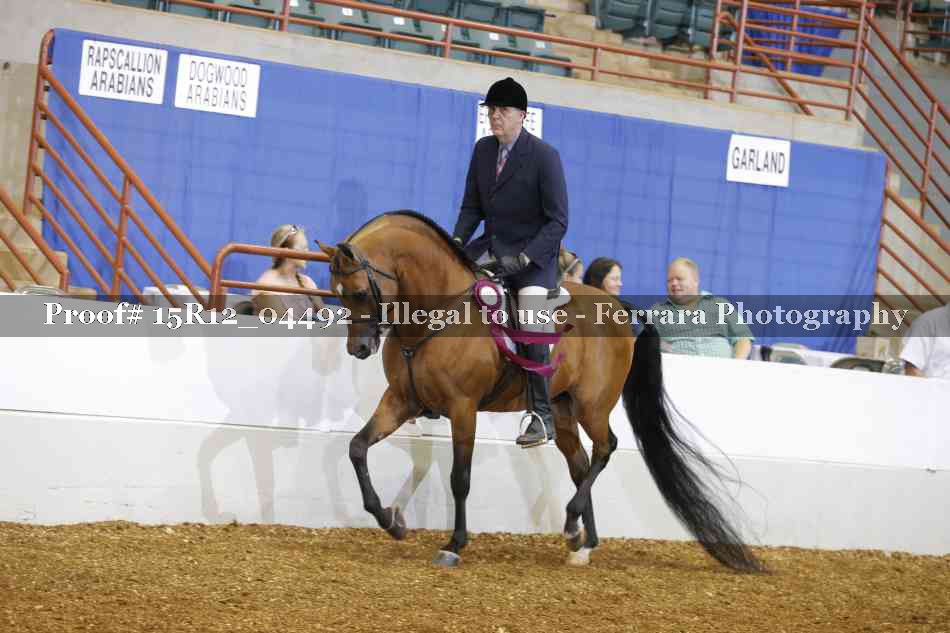 Proof 15R12_04492