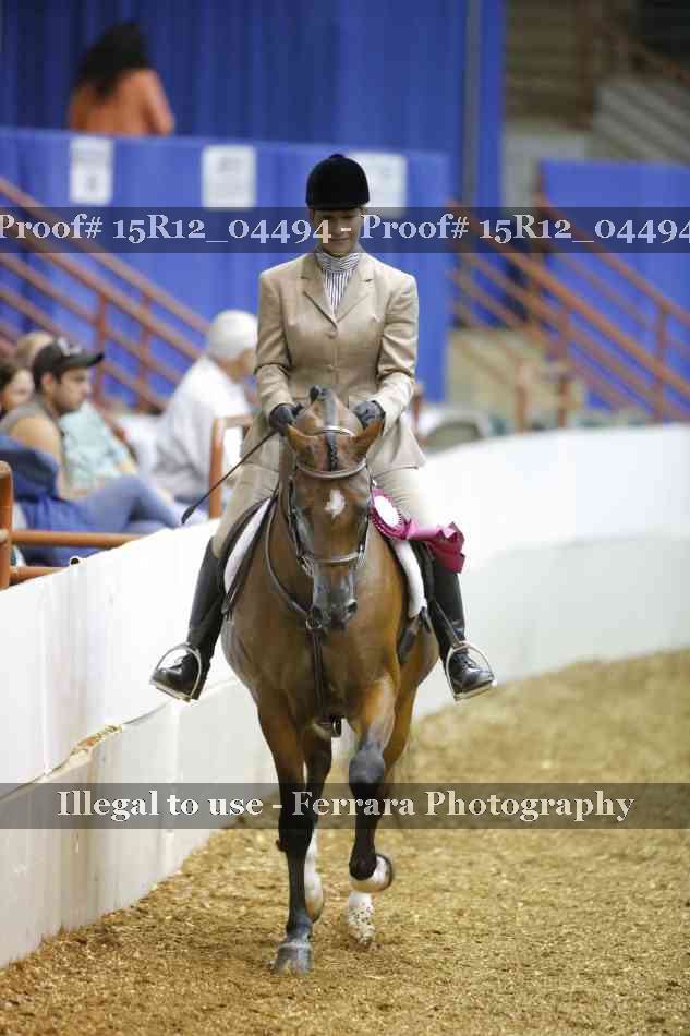 Proof 15R12_04494