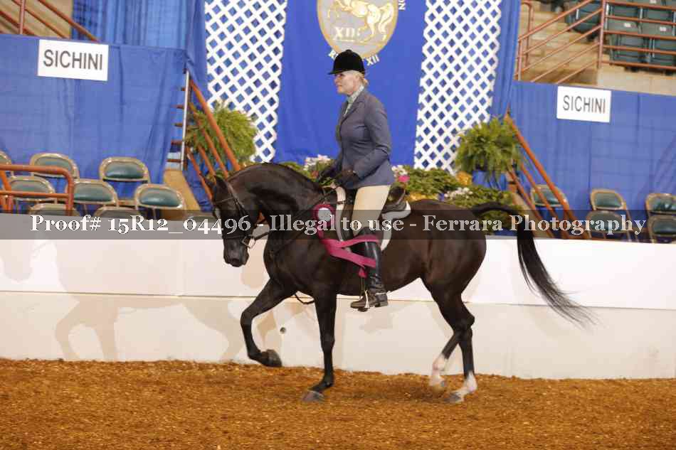 Proof 15R12_04496