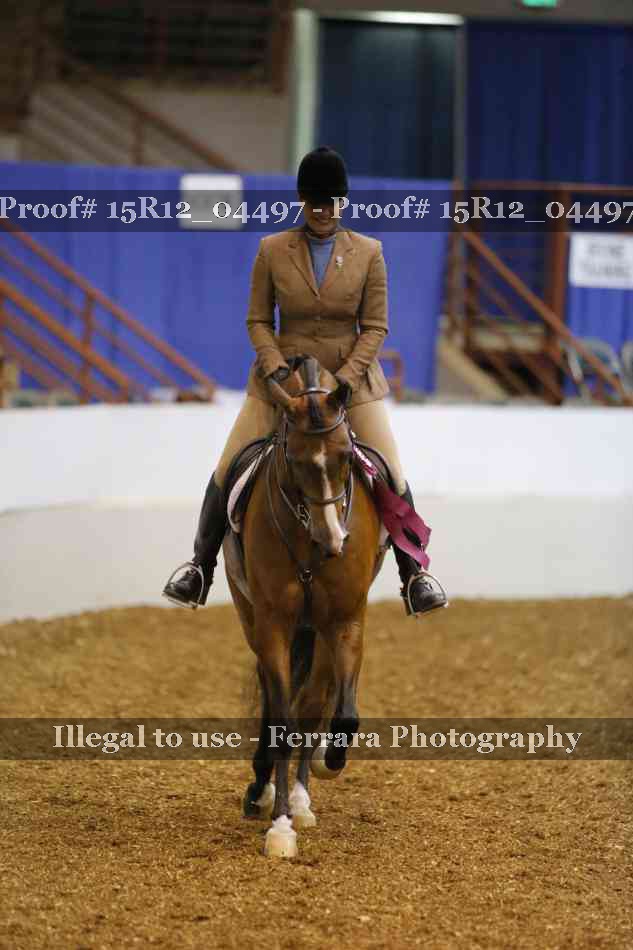 Proof 15R12_04497