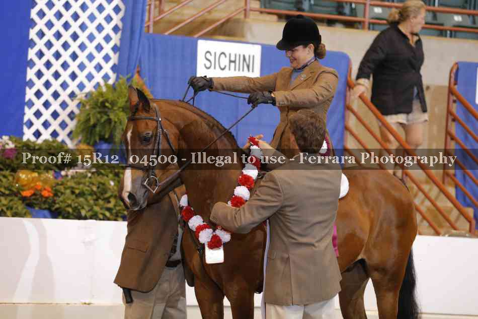 Proof 15R12_04500