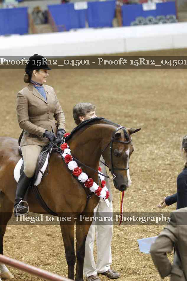 Proof 15R12_04501