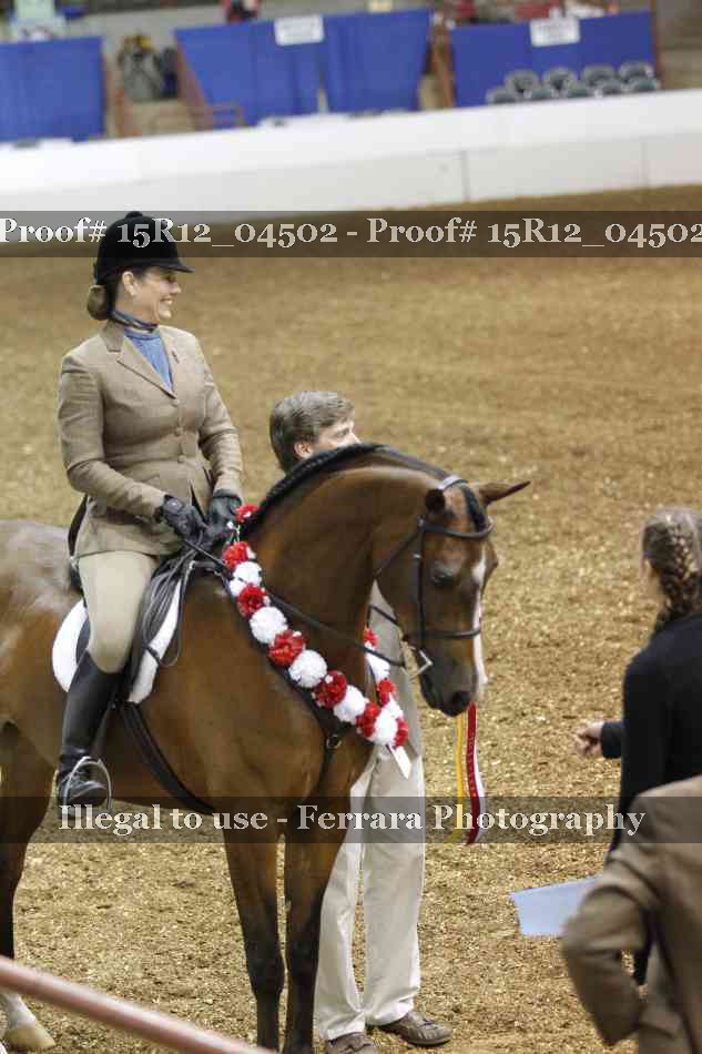 Proof 15R12_04502