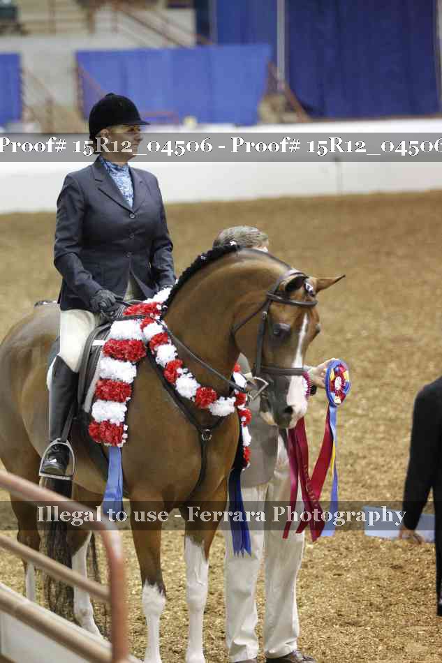 Proof 15R12_04506