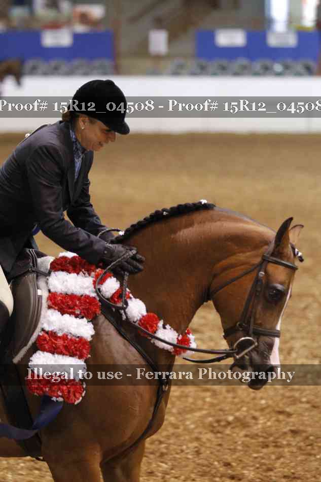 Proof 15R12_04508