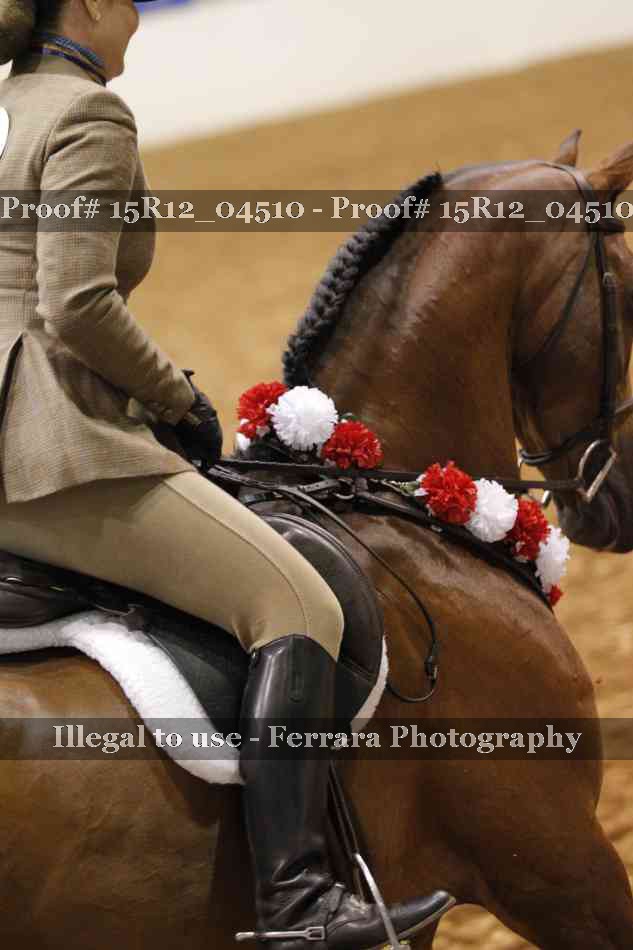 Proof 15R12_04510