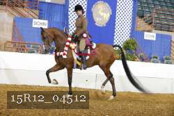 15R12_04512 proof