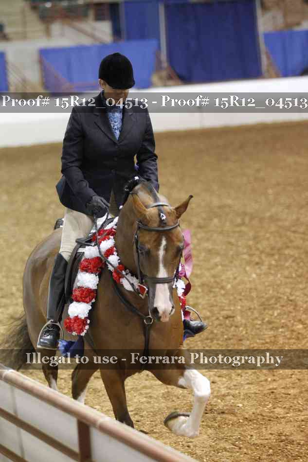 Proof 15R12_04513