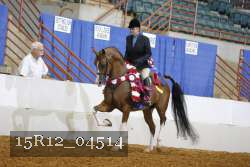 15R12_04514 proof