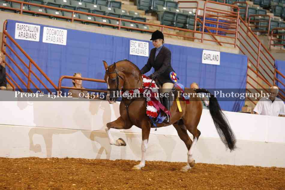 Proof 15R12_04515