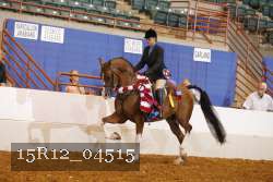 15R12_04515 proof