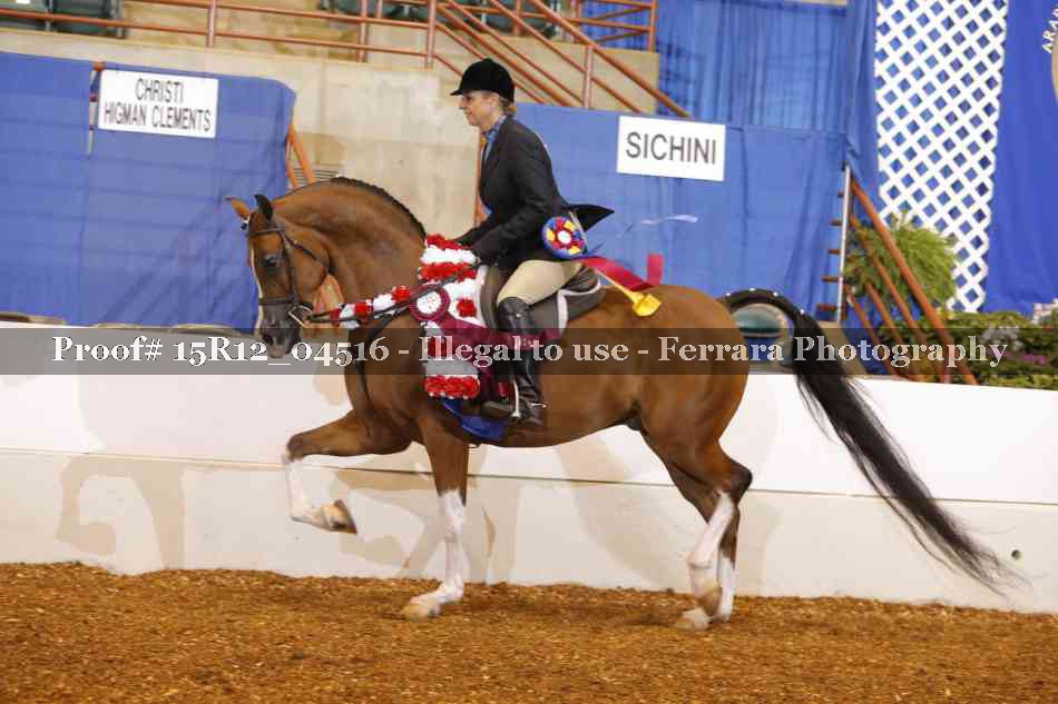 Proof 15R12_04516
