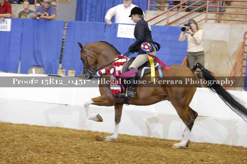 Proof 15R12_04517
