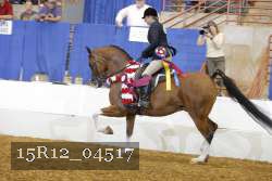 15R12_04517 proof