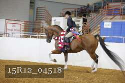 15R12_04518 proof