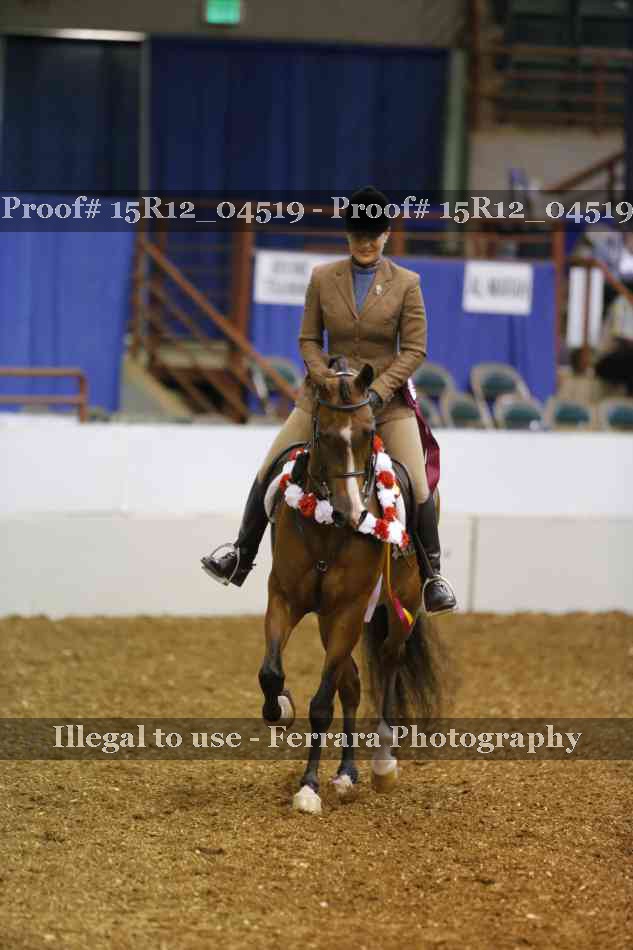 Proof 15R12_04519