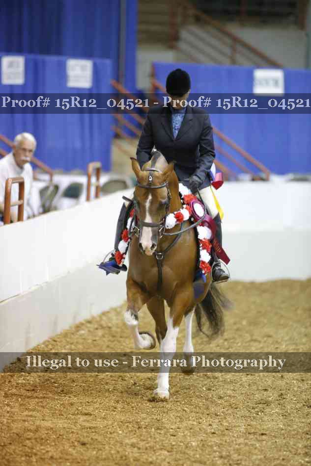 Proof 15R12_04521