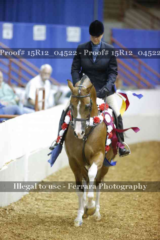 Proof 15R12_04522