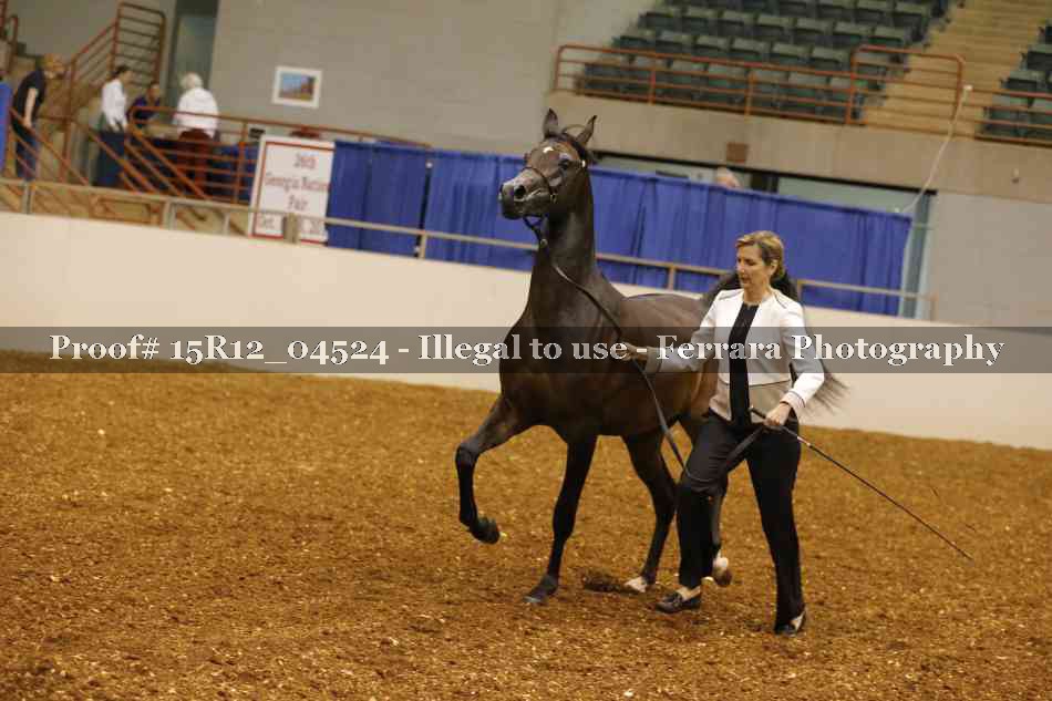 Proof 15R12_04524