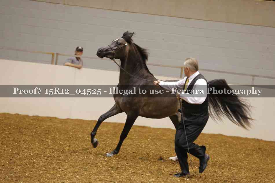 Proof 15R12_04525