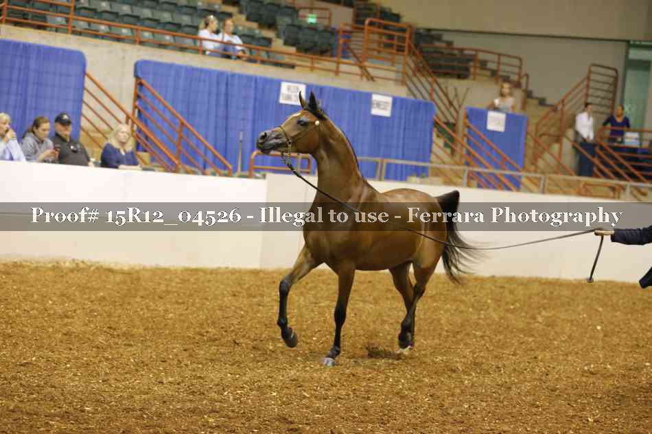 Proof 15R12_04526