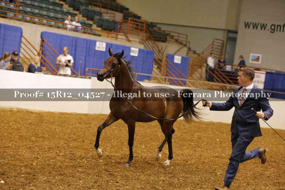 Proof 15R12_04527