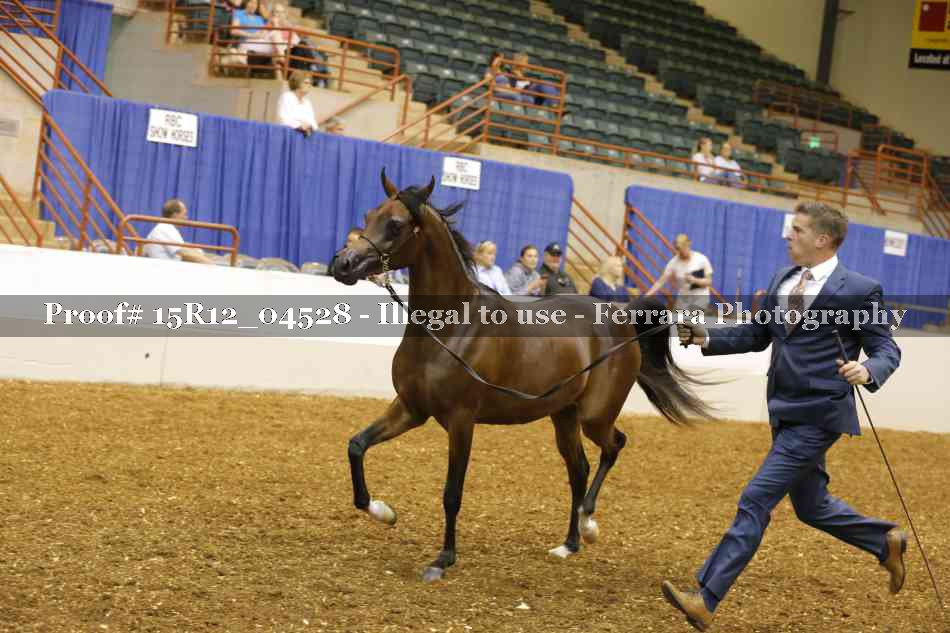 Proof 15R12_04528