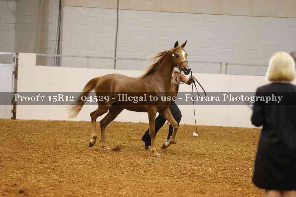 Proof 15R12_04529