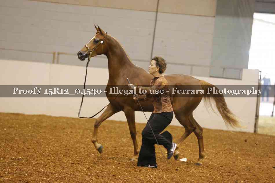 Proof 15R12_04530