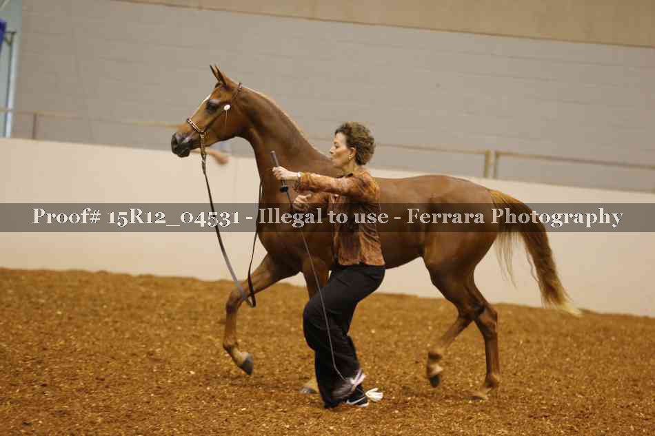 Proof 15R12_04531