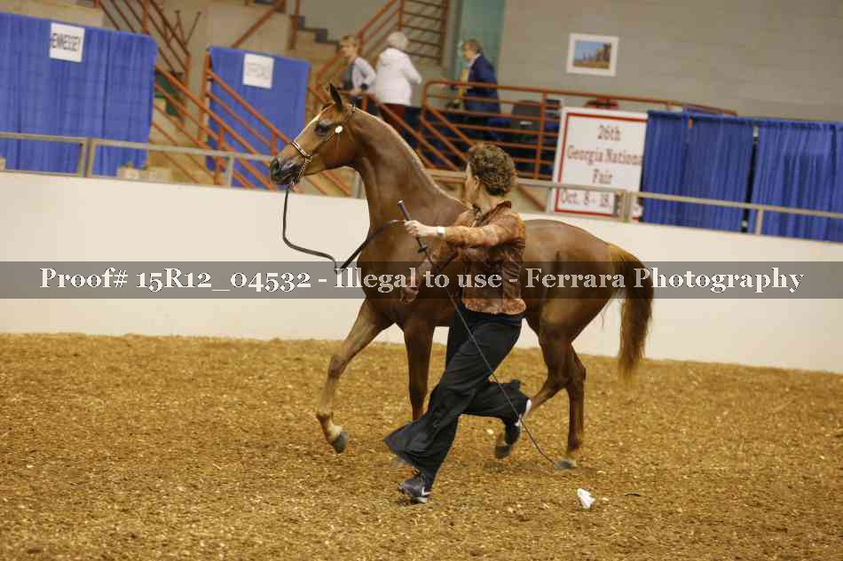 Proof 15R12_04532