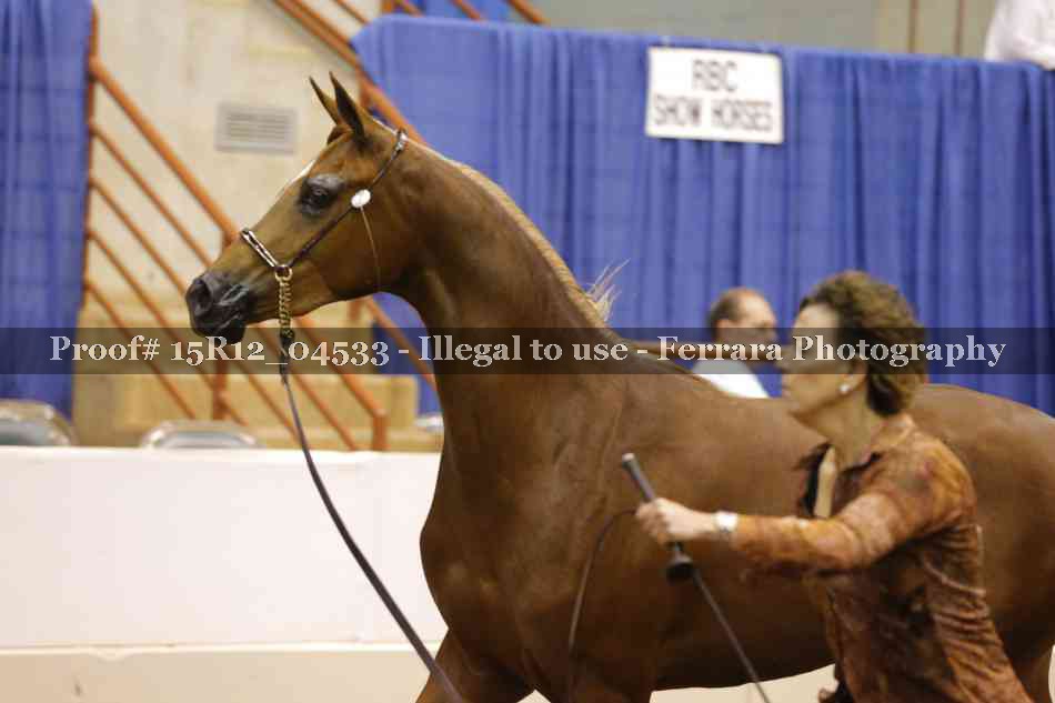 Proof 15R12_04533