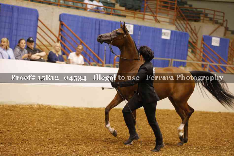 Proof 15R12_04534