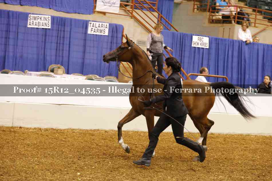 Proof 15R12_04535