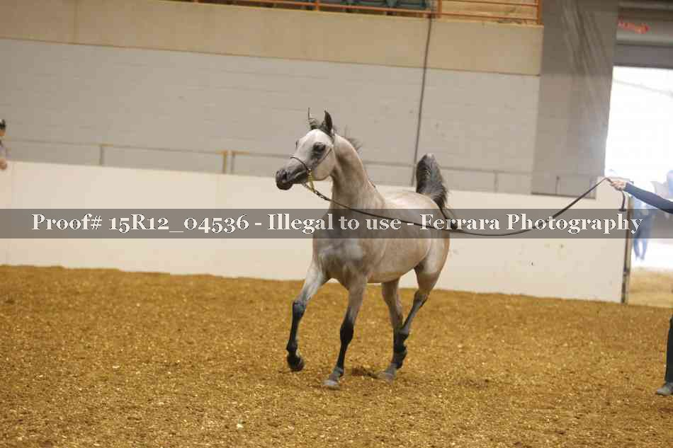 Proof 15R12_04536