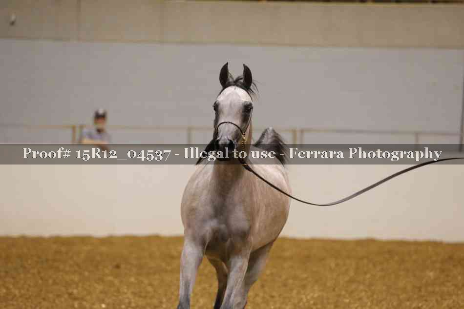 Proof 15R12_04537